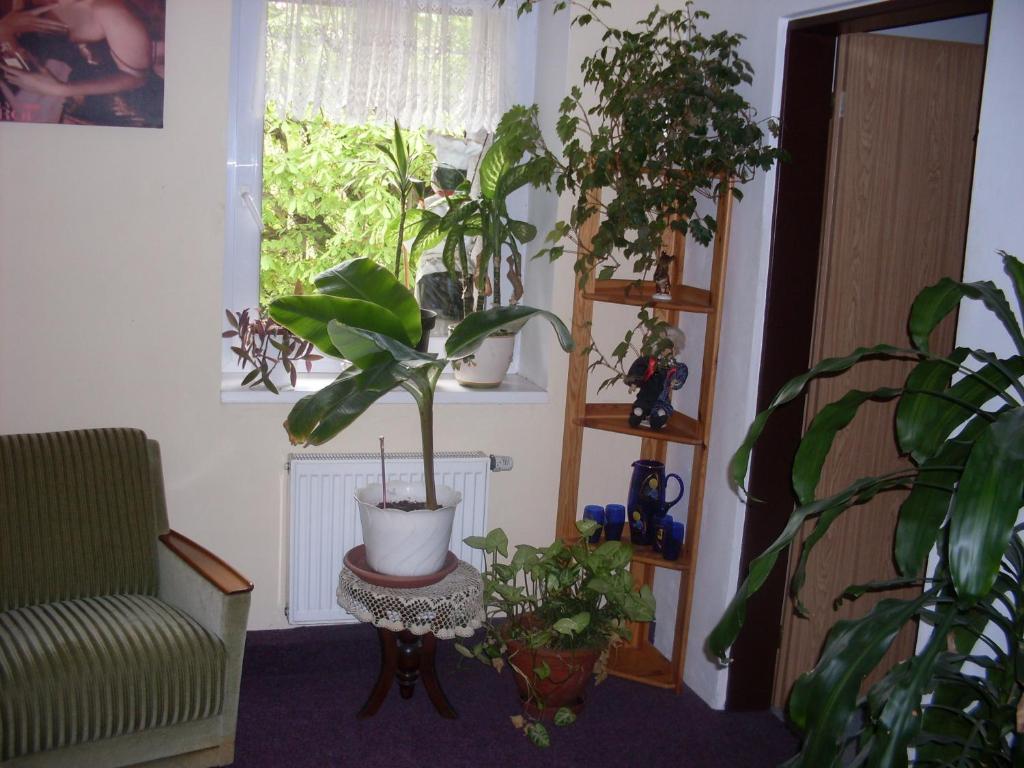 Pension U Kastanu Карловы Вары Номер фото